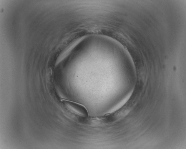 X0000072550229200608041656