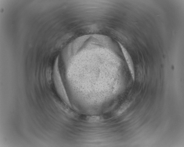 X0000072550230200608041656