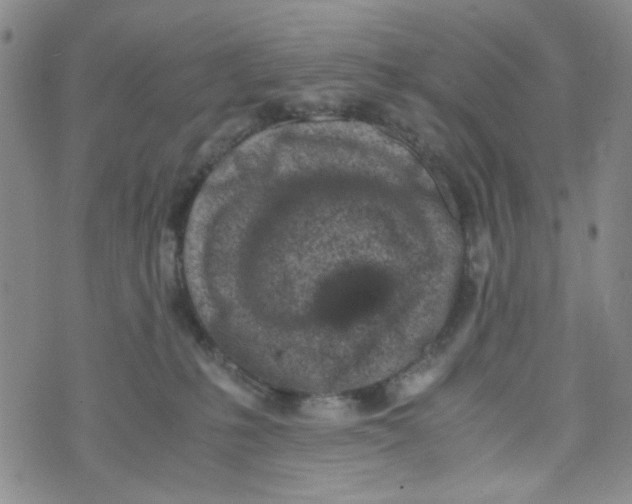 X0000072550231200608041656