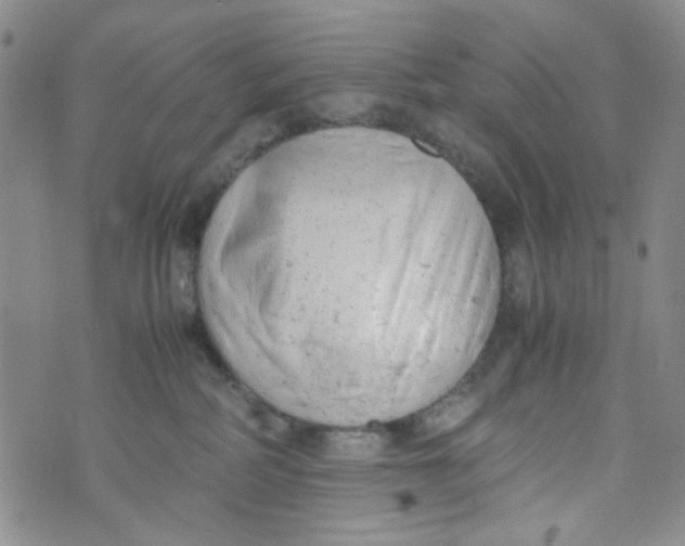 X0000072550234200608041656