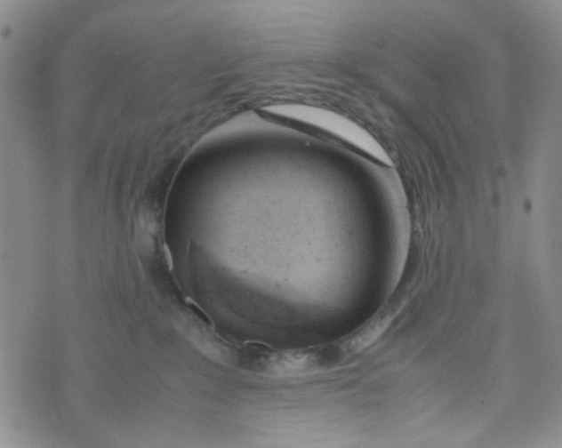 X0000072550235200608041656