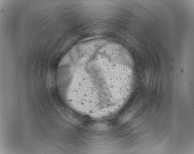 X0000072550236200608041656