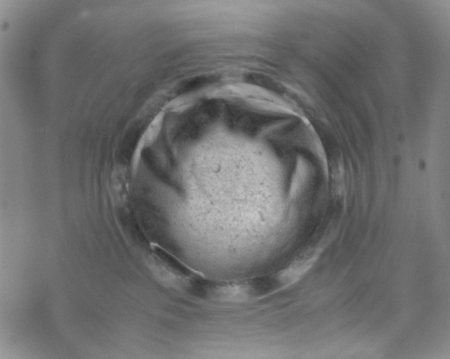 X0000072550237200608041656