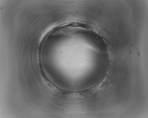 X0000072550244200608041655