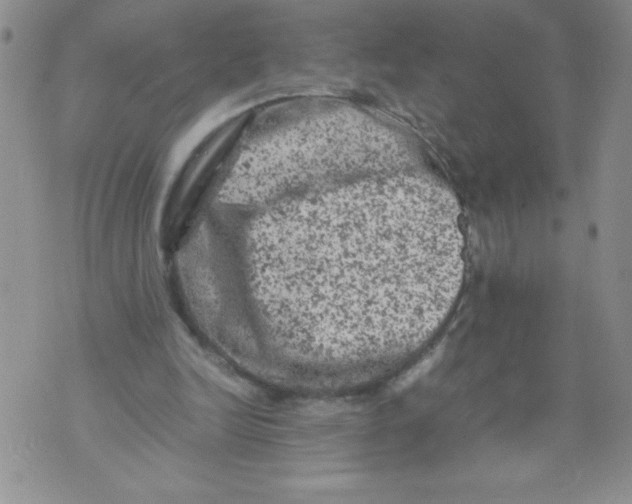 X0000072550246200608041655