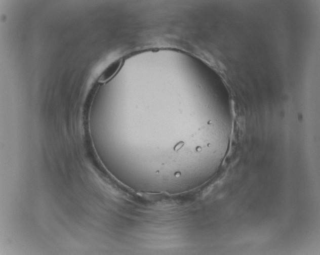 X0000072550248200608041655