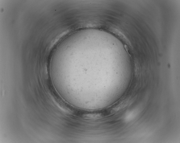 X0000072550251200608041655