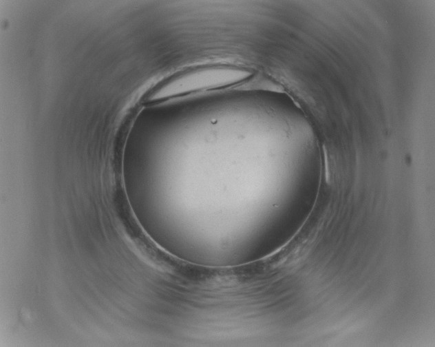 X0000072550252200608041655