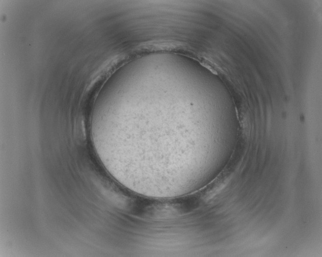 X0000072550254200608041655