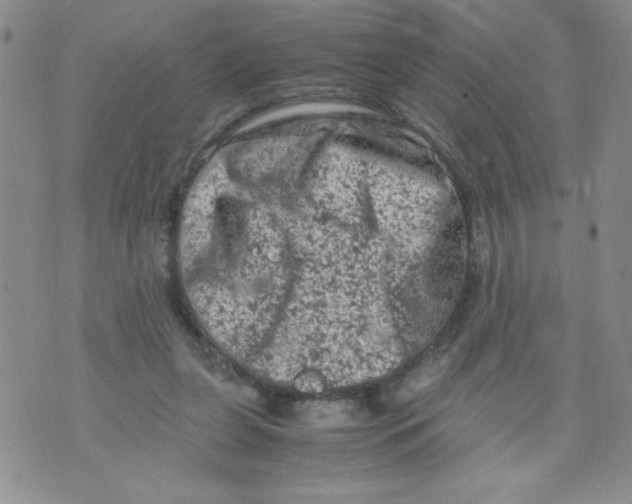 X0000072550255200608041655