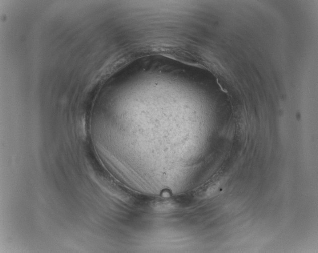 X0000072550262200608041655