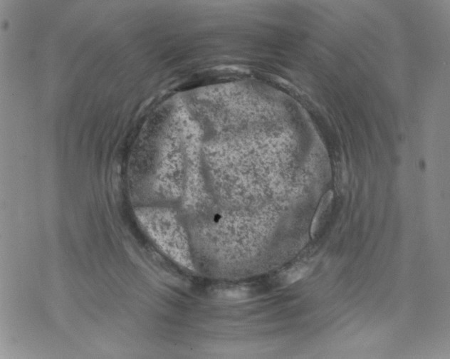 X0000072550263200608041655