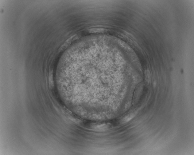 X0000072550267200608041655