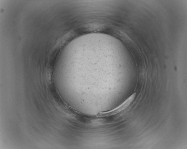 X0000072550268200608041655