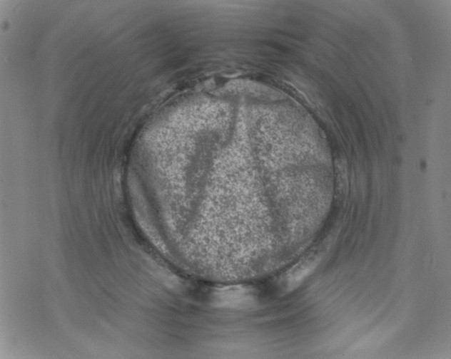 X0000072550269200608041655