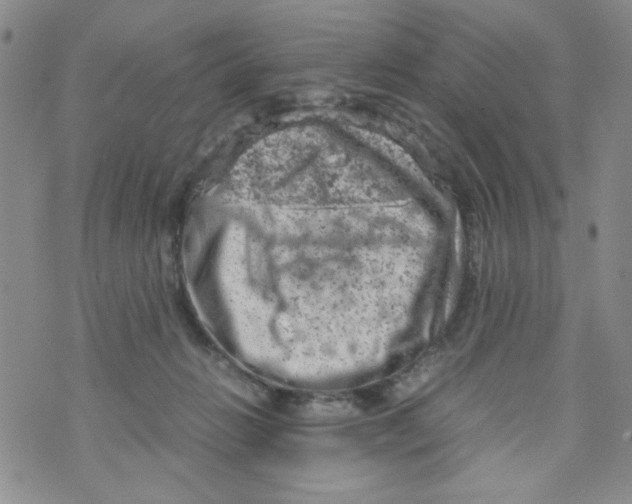 X0000072550270200608041655