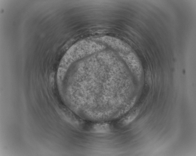 X0000072550271200608041655