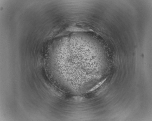 X0000072550272200608041655