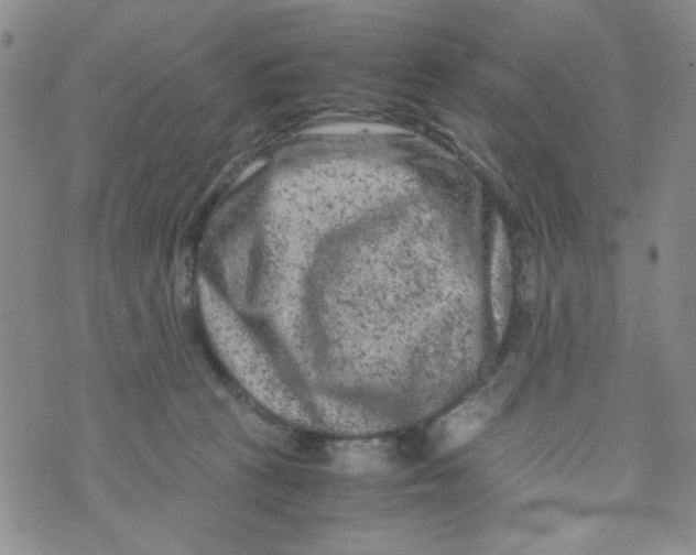 X0000072550273200608041655