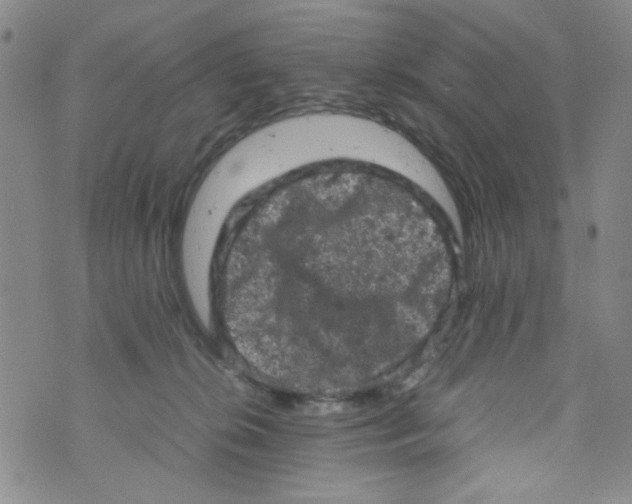 X0000072550276200608041655