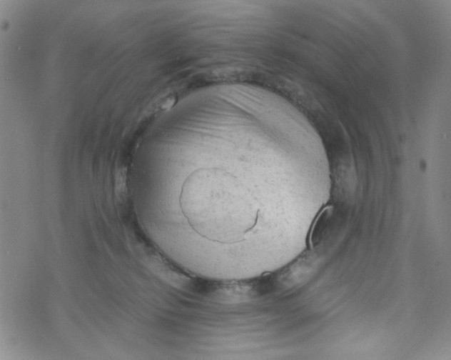 X0000072550278200608041655