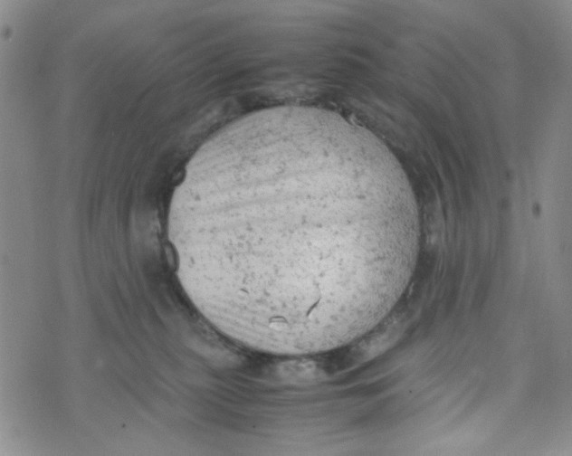 X0000072550279200608041655