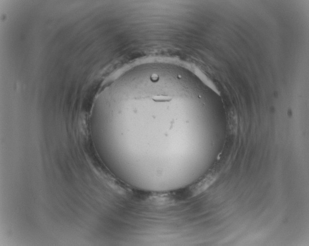 X0000072550280200608041655