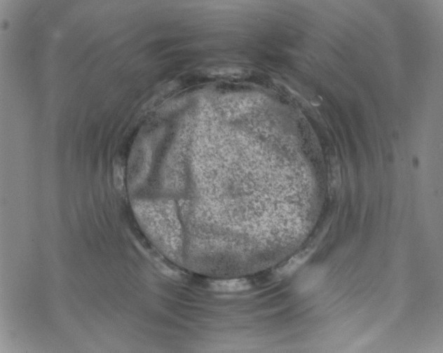 X0000072550281200608041655