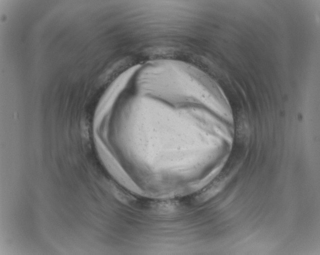 X0000072550282200608041655