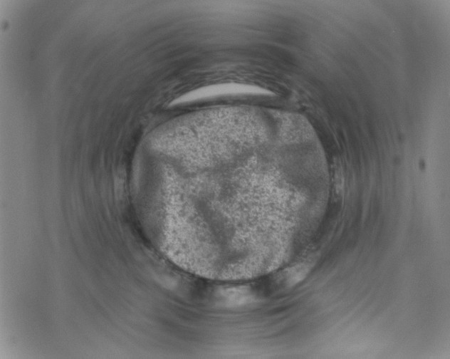 X0000072550283200608041655