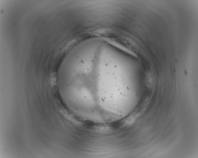 X0000072550284200608041655