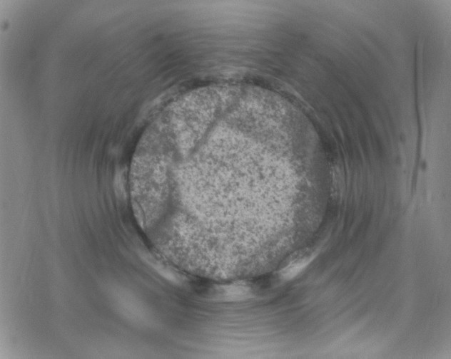 X0000072550286200608041655