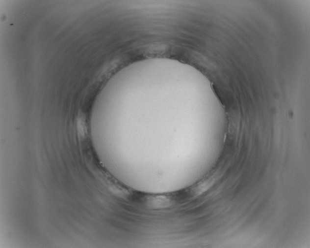 X0000072550287200608041655