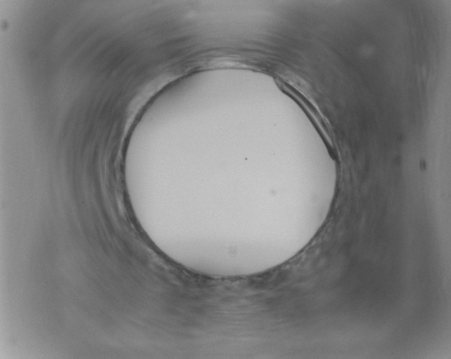 X0000072550289200608041655