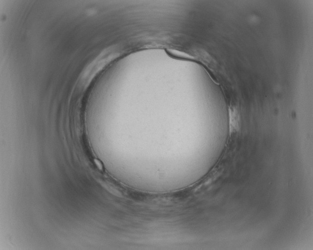 X0000072550291200608041655