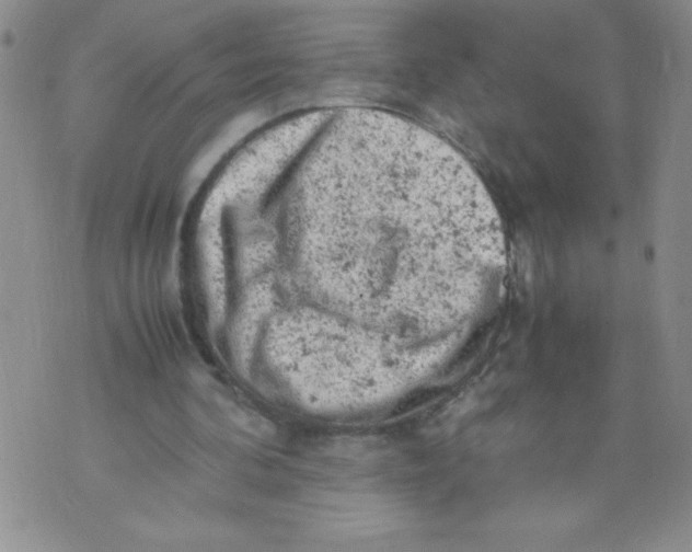 X0000072550292200608041655