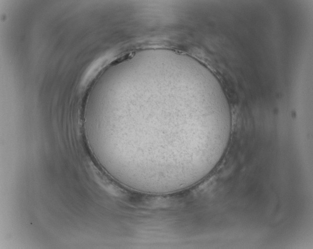 X0000072550293200608041655