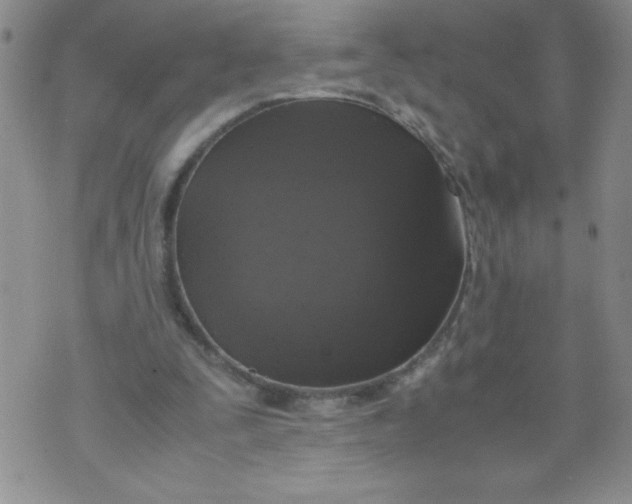 X0000072550295200608041655