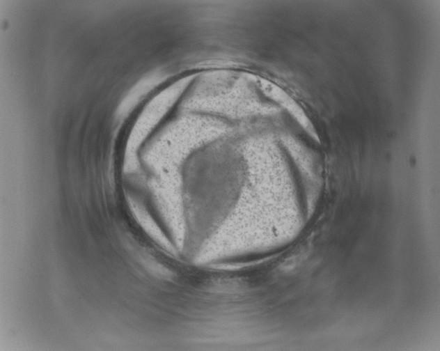 X0000072550296200608041655