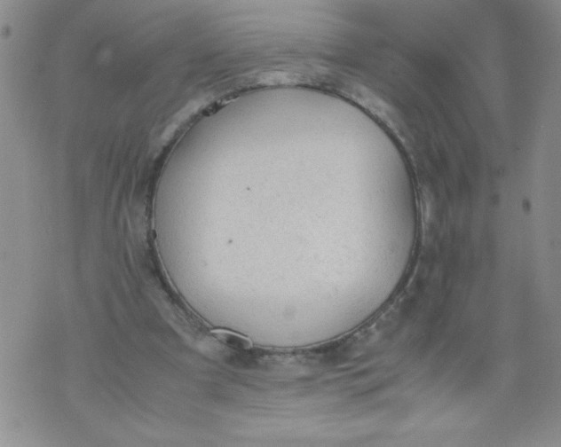 X0000072550297200608041655