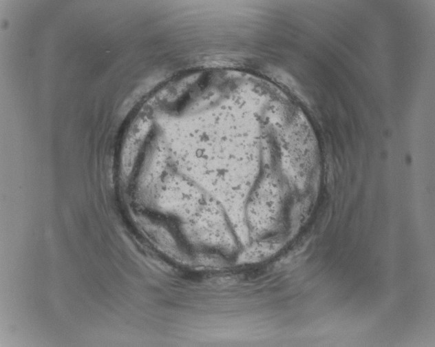 X0000072550299200608041655