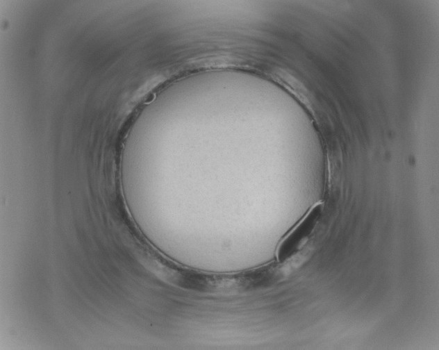 X0000072550301200608041655