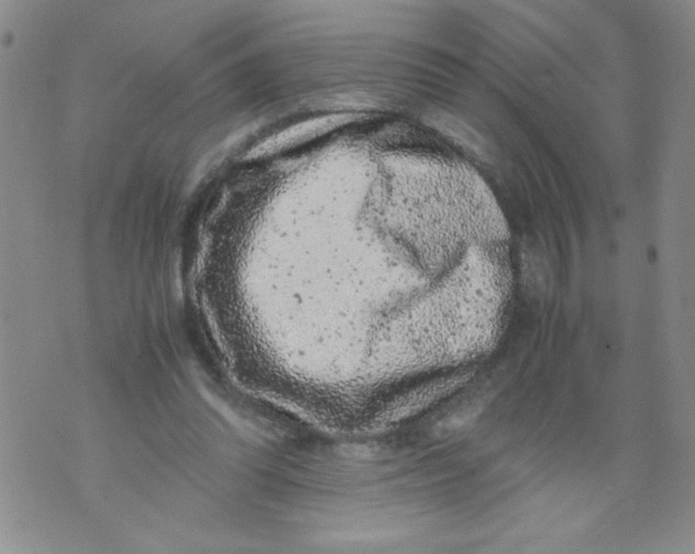 X0000072550302200608041655