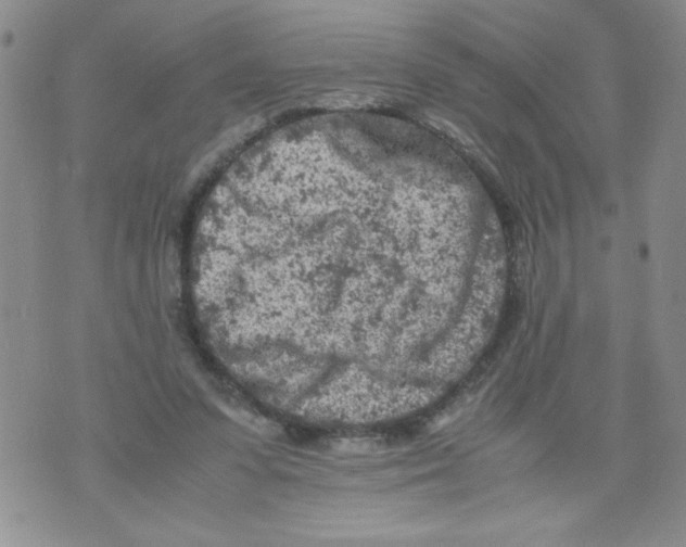 X0000072550303200608041655