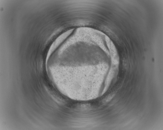 X0000072550304200608041654