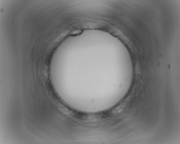 X0000072550305200608041654