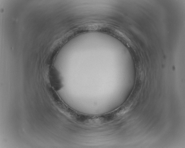 X0000072550307200608041654