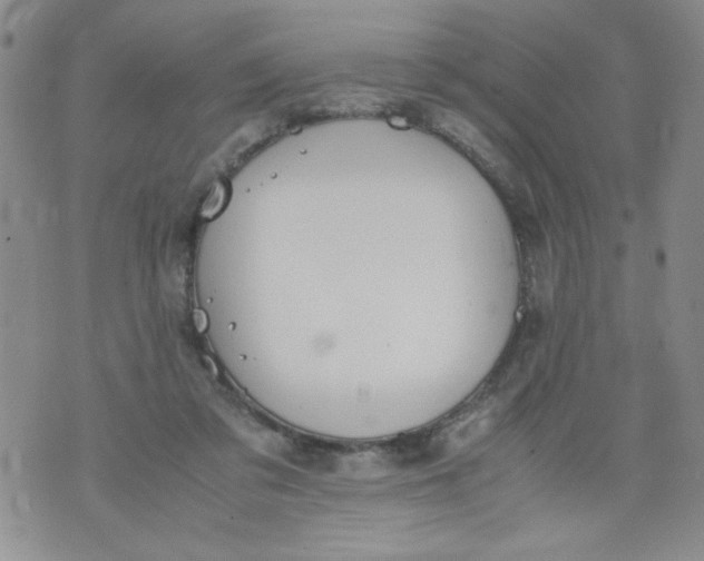 X0000072550309200608041654