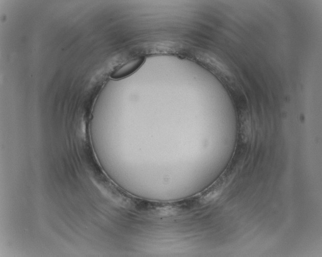 X0000072550310200608041654