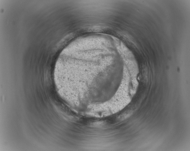 X0000072550312200608041654